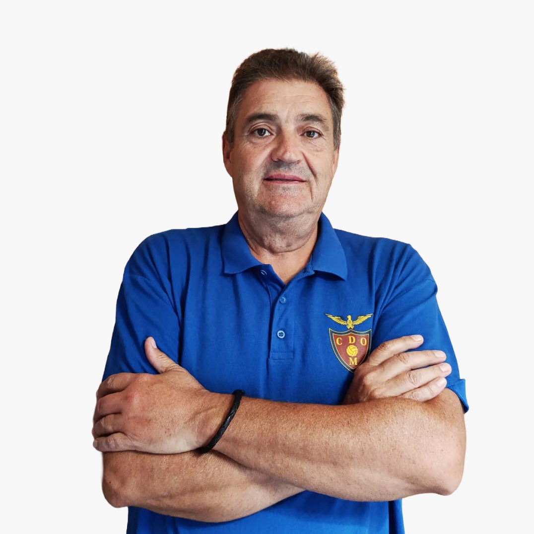 Diretor de secção
